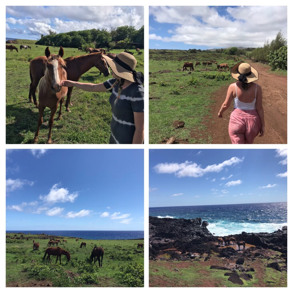 Horses on Easter Island