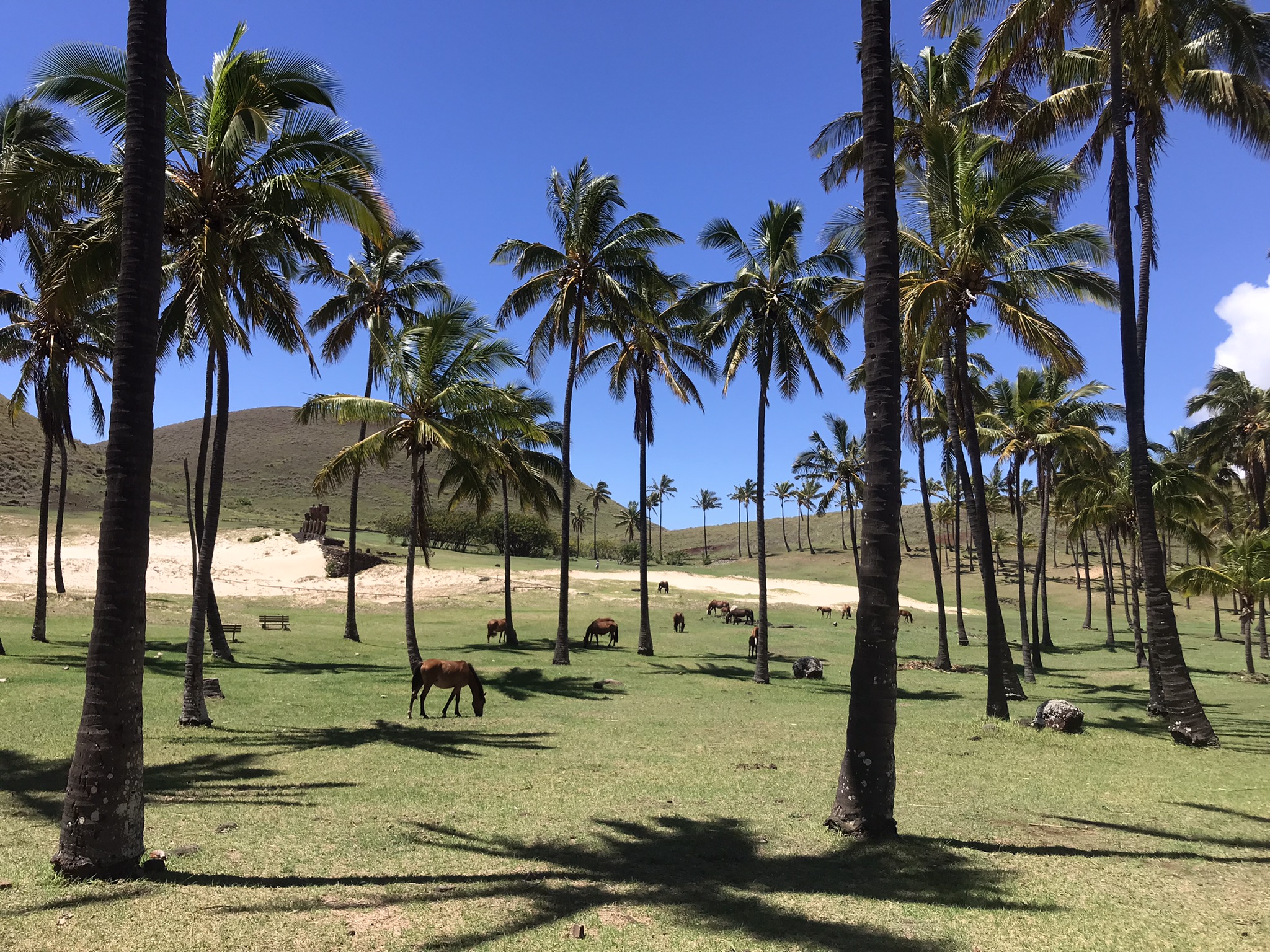 Easter Island: A 5-Day Whistlestop Itinerary