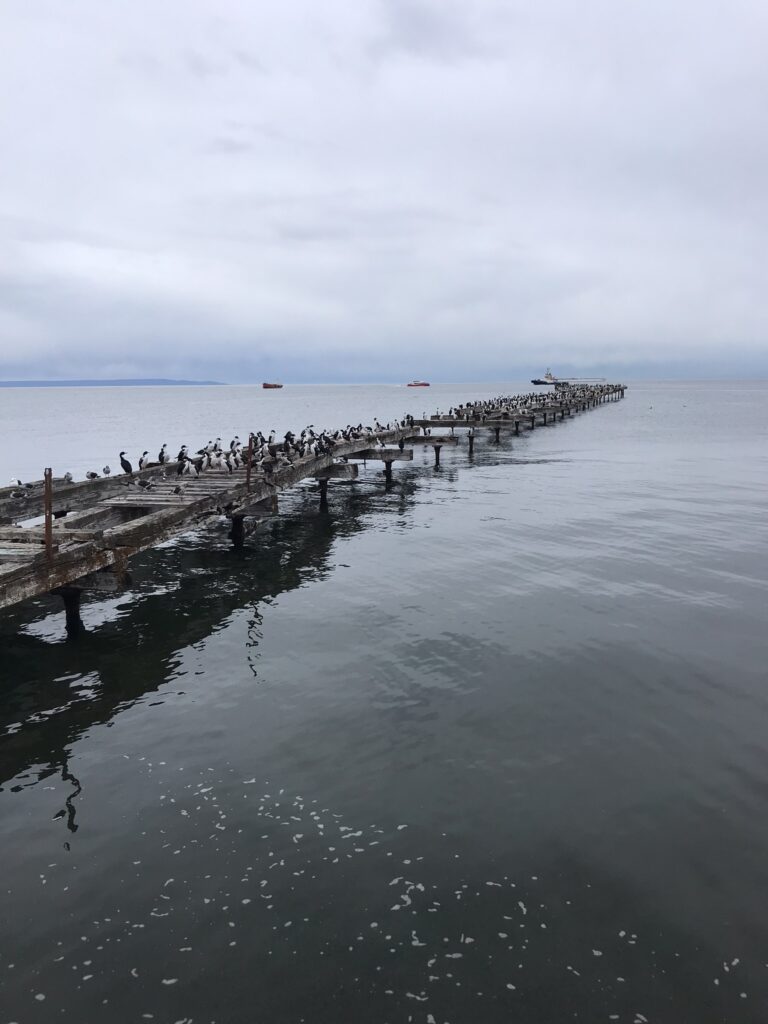 The pier in Punta Arenas