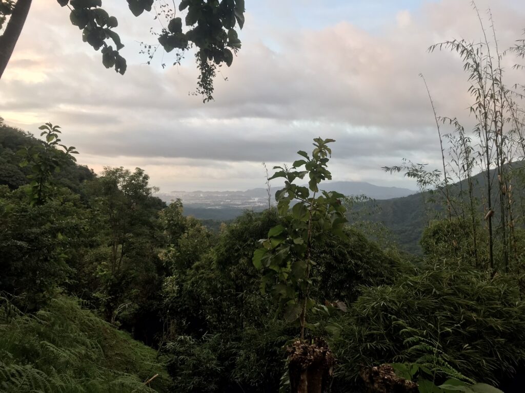 Colombia travel in the jungle of Minca near Santa Marta