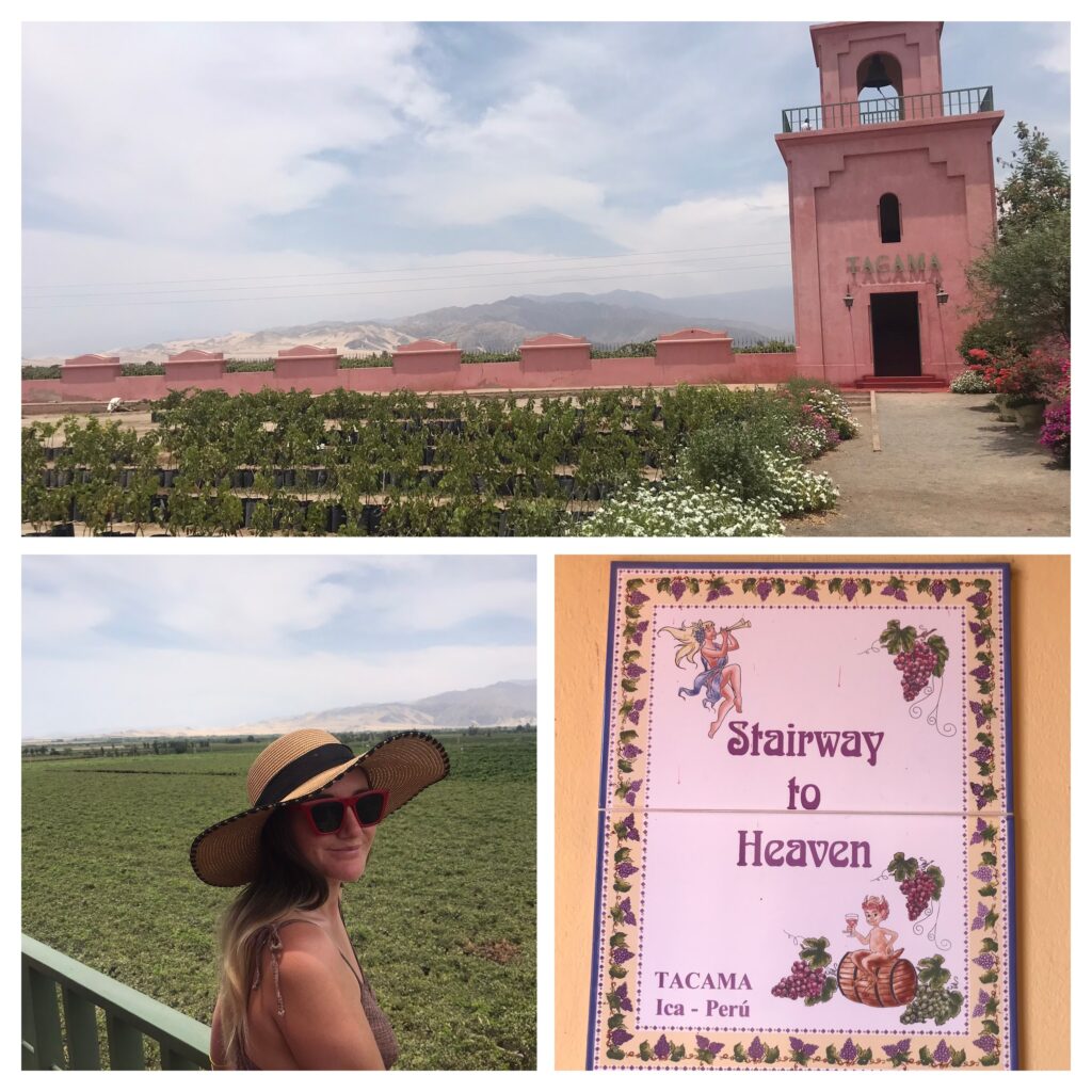 Tacama Winery near Ica in Peru