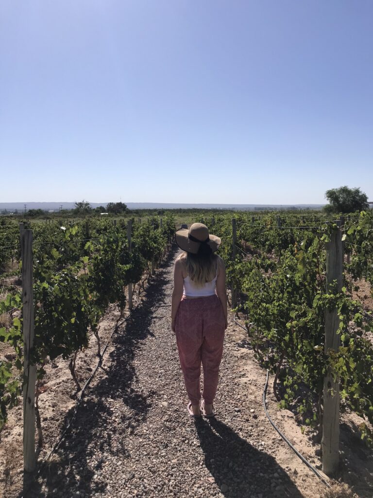 Argentina travel in the wine region of Mendoza