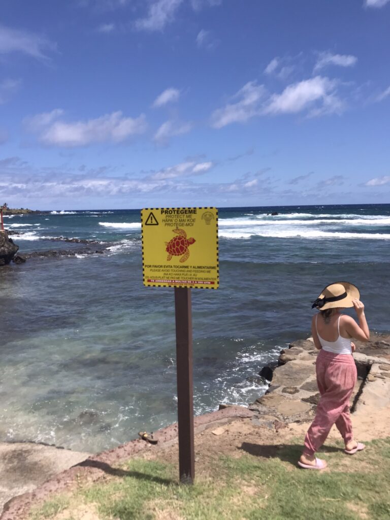 The sea near Hanga Roa on Easter Island