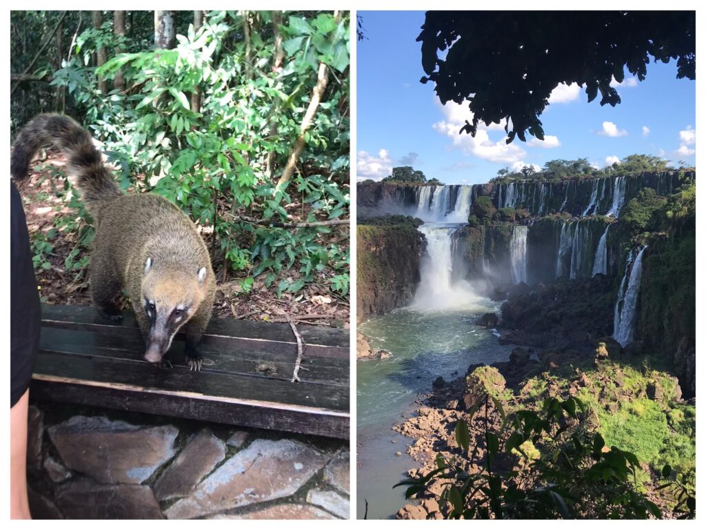 Argentina travel at Iguazu falls