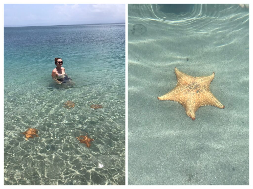 Starfish at the beach in Bocas del Toro