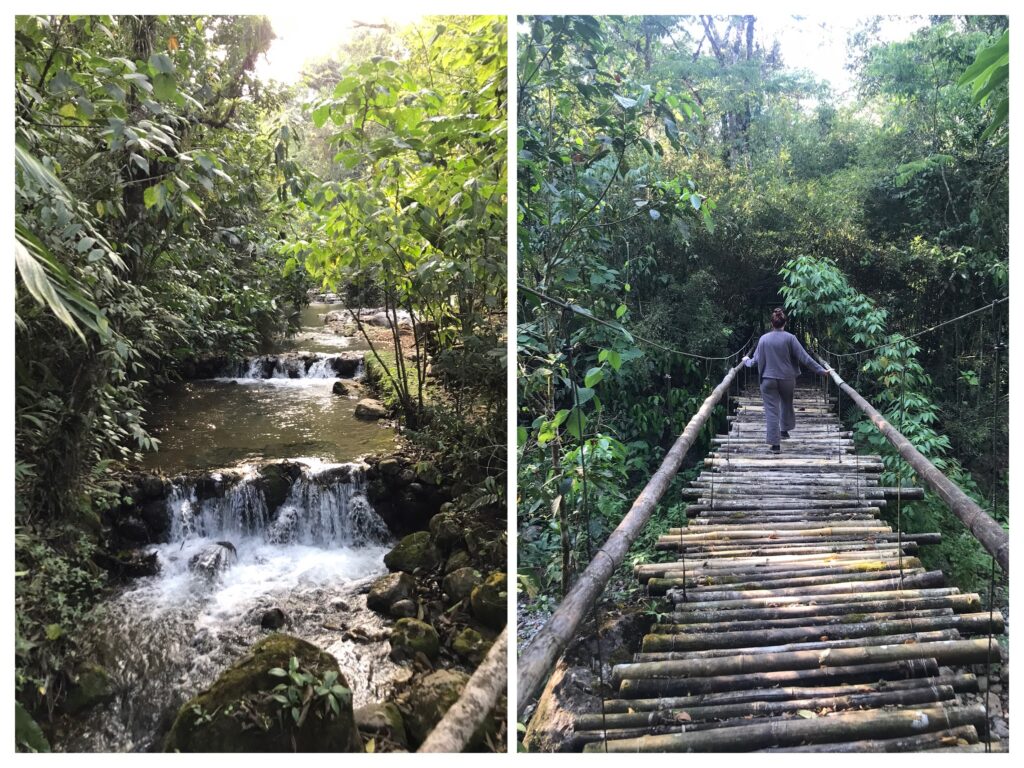 Nature trails in Honduras