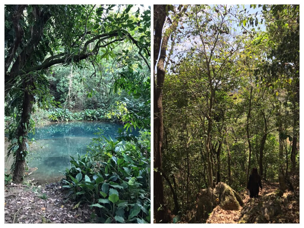 Jungle landscapes near Lago Yojoa