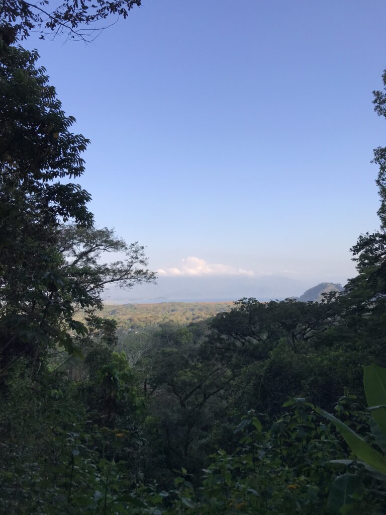 Honduras travel in Lake Yojoa