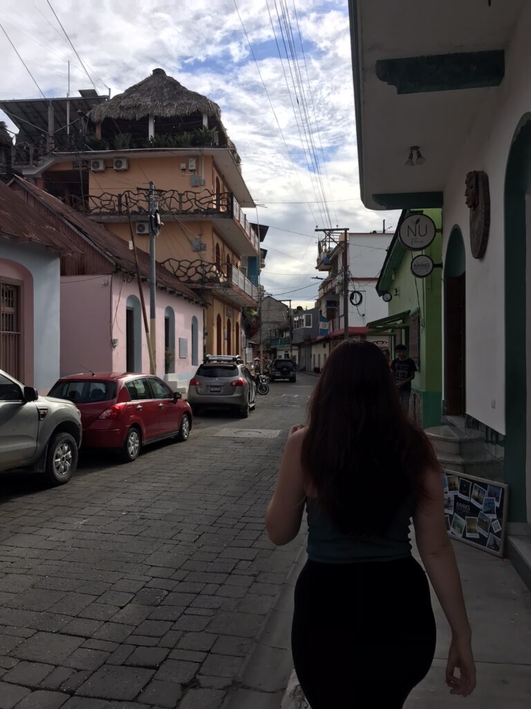 A street in Flores