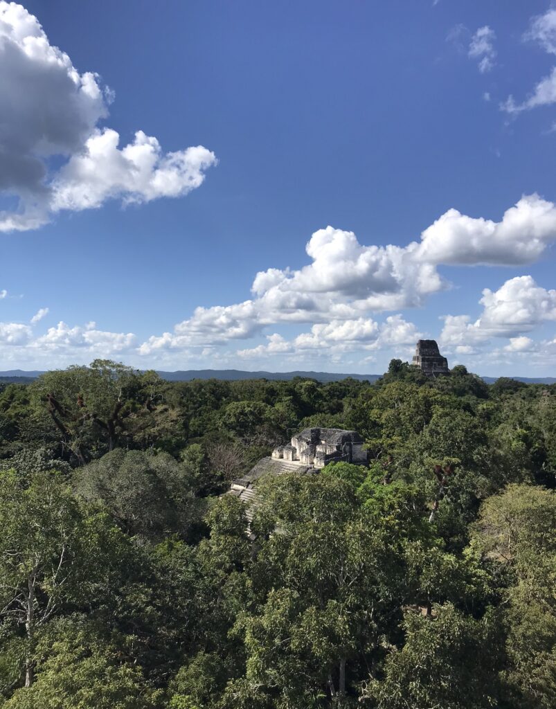 Temples above the jungle canopy at Tikal in Northern Guatemala