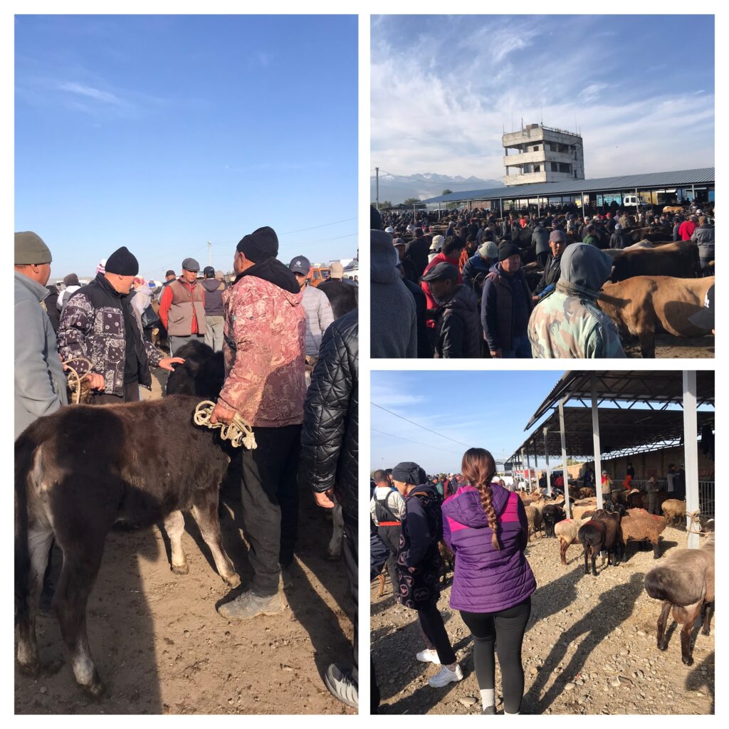 Scenes from the Karakol Animal Market