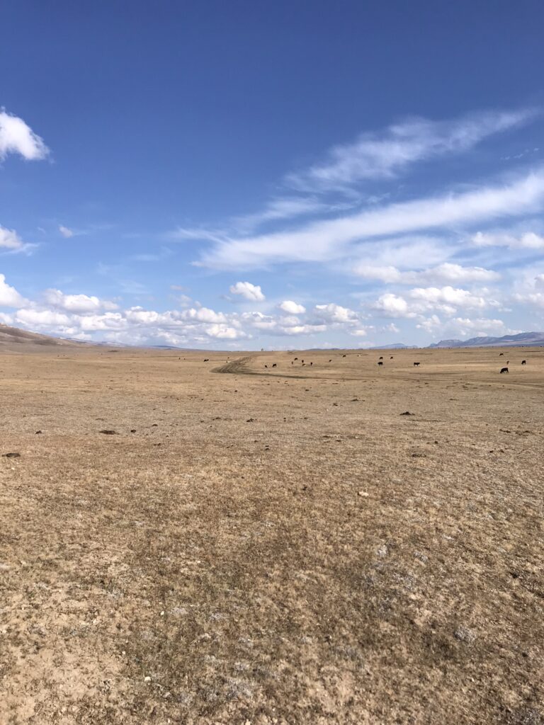 A plain near Song Kul Lake