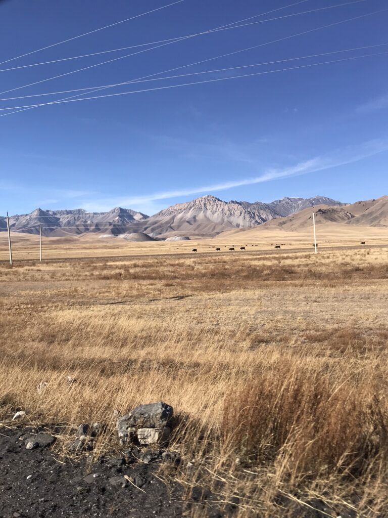 A plain at the Alay Valley in western Kyrgyzstan