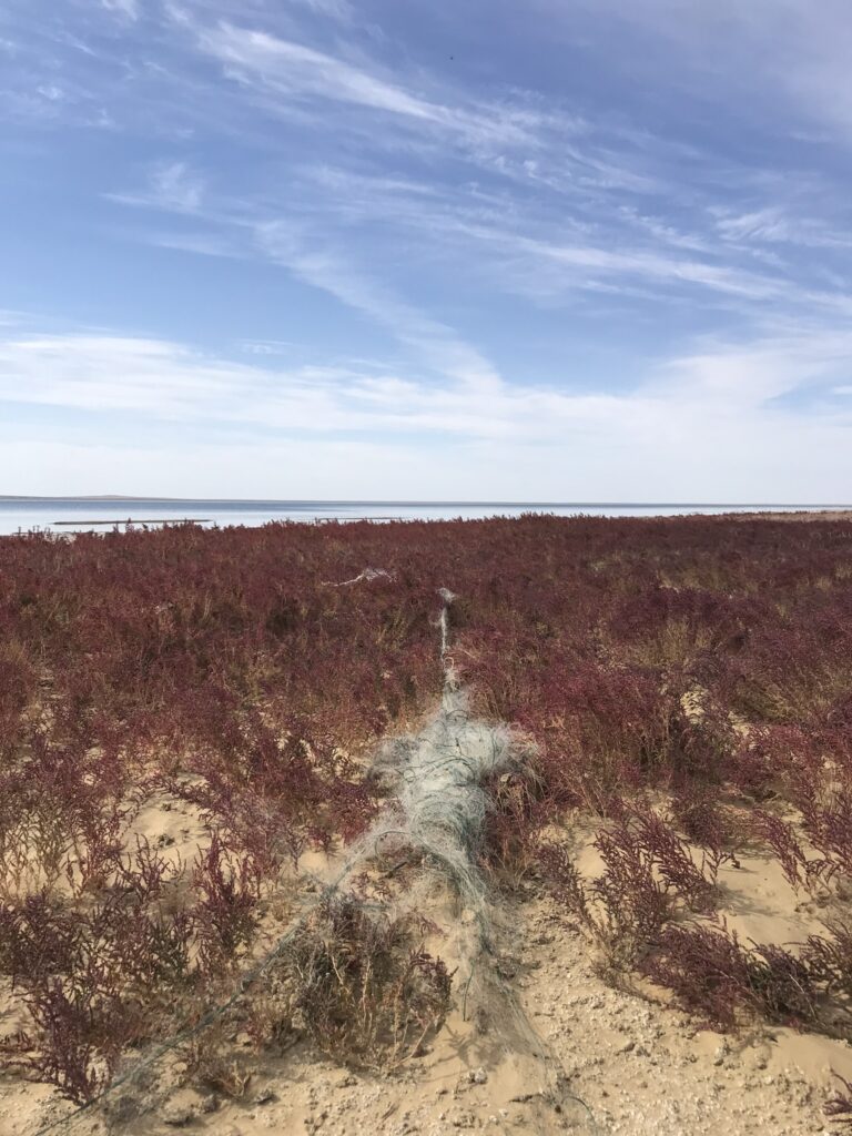 A discarded fishing net at the Aral Sea