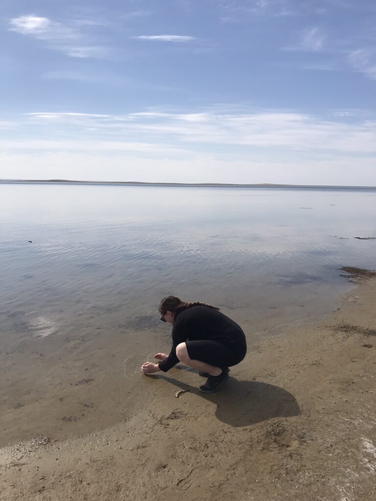 Water in the north Aral Sea