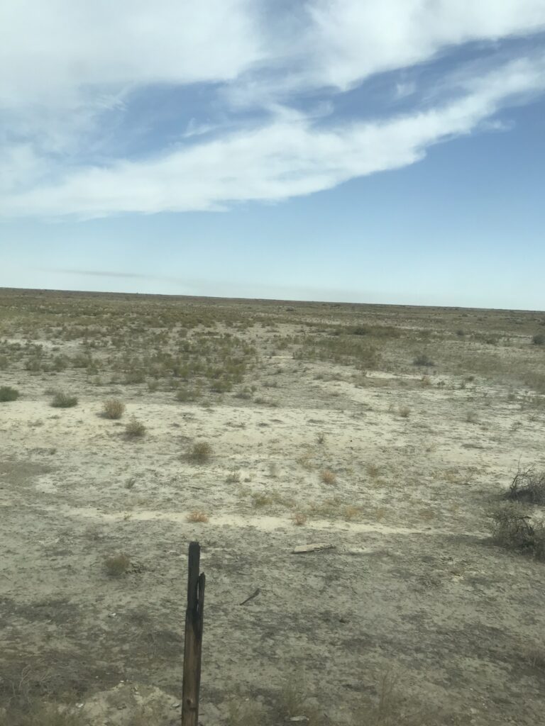 A scene on the Kazakh Steppe