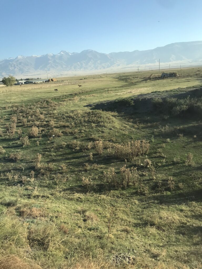 A pastoral scene near Shymkent