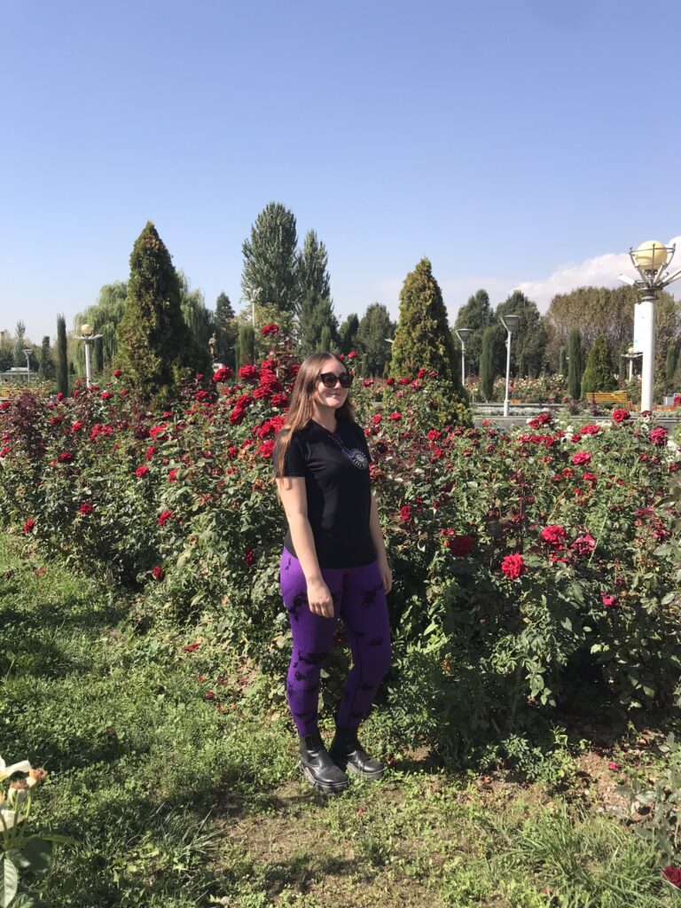 Roses in the park in Dushanbe