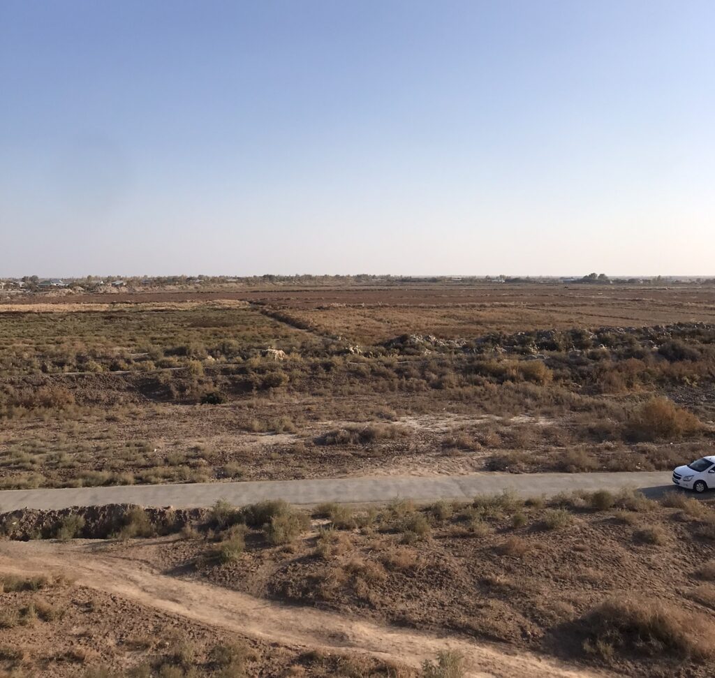 Cotton farmland in Khorezm