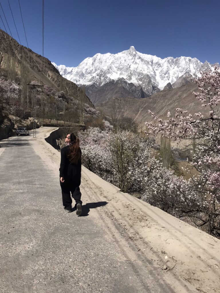 Blossoms in Hoper Valley in Pakistan