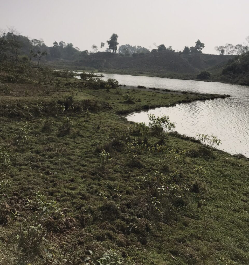 Bangladesh travel in Sreemangal