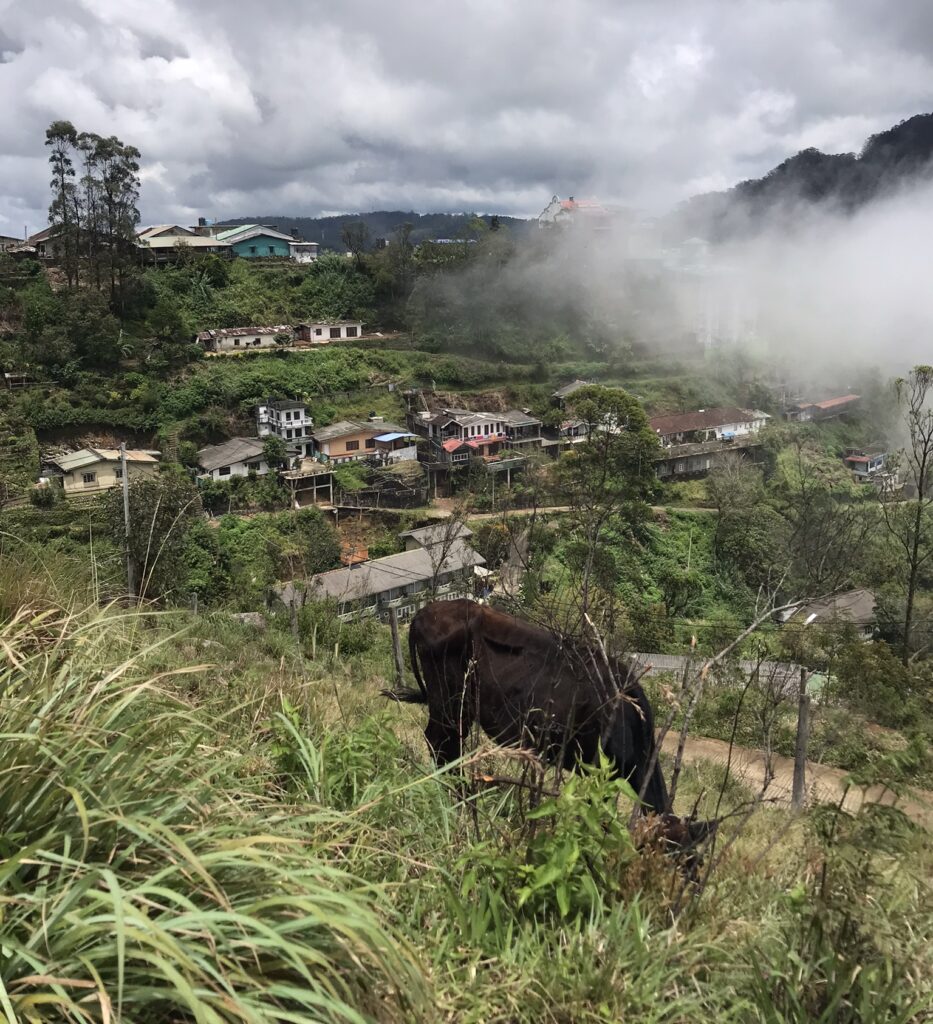 A mountainous scene in Sri Lanka