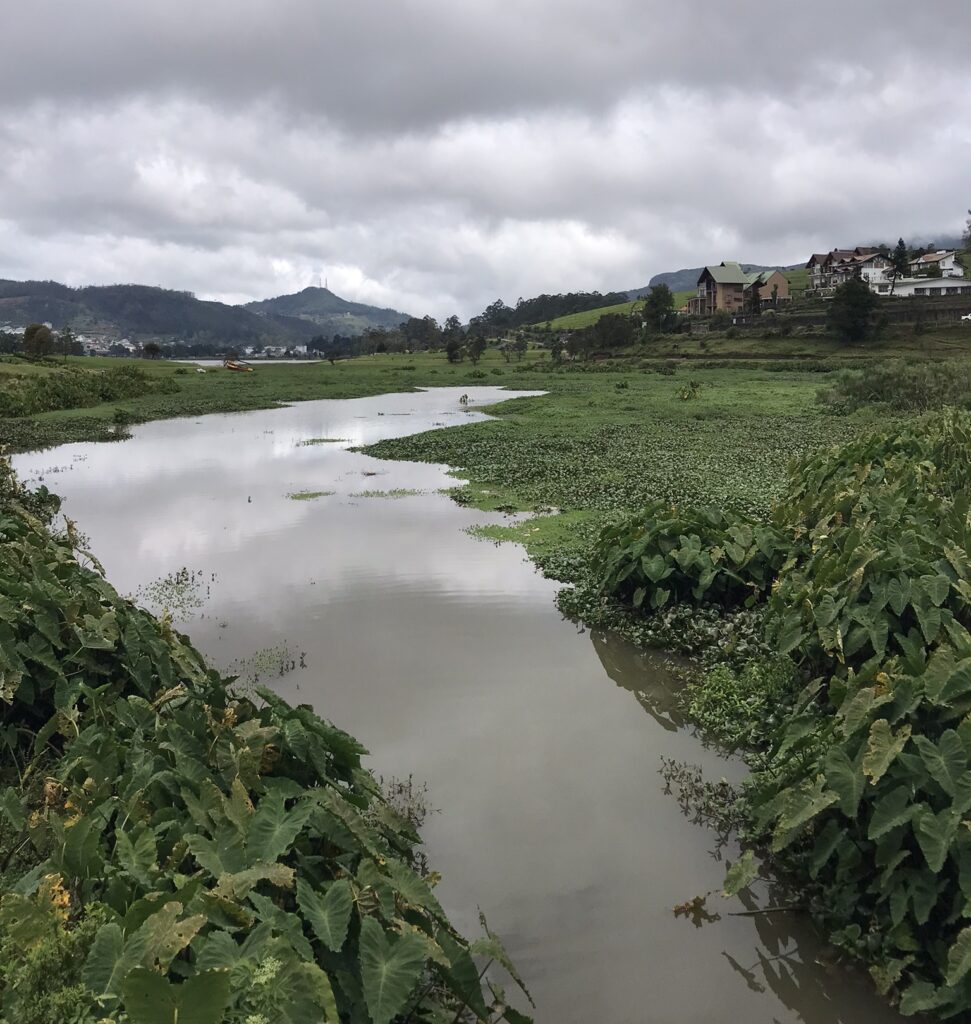 Sri Lanka travel in Nuwara Eliya