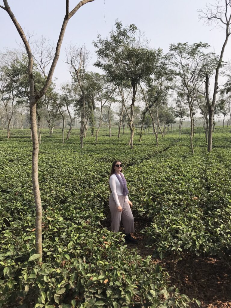 Bangladesh travel in Sreemangal