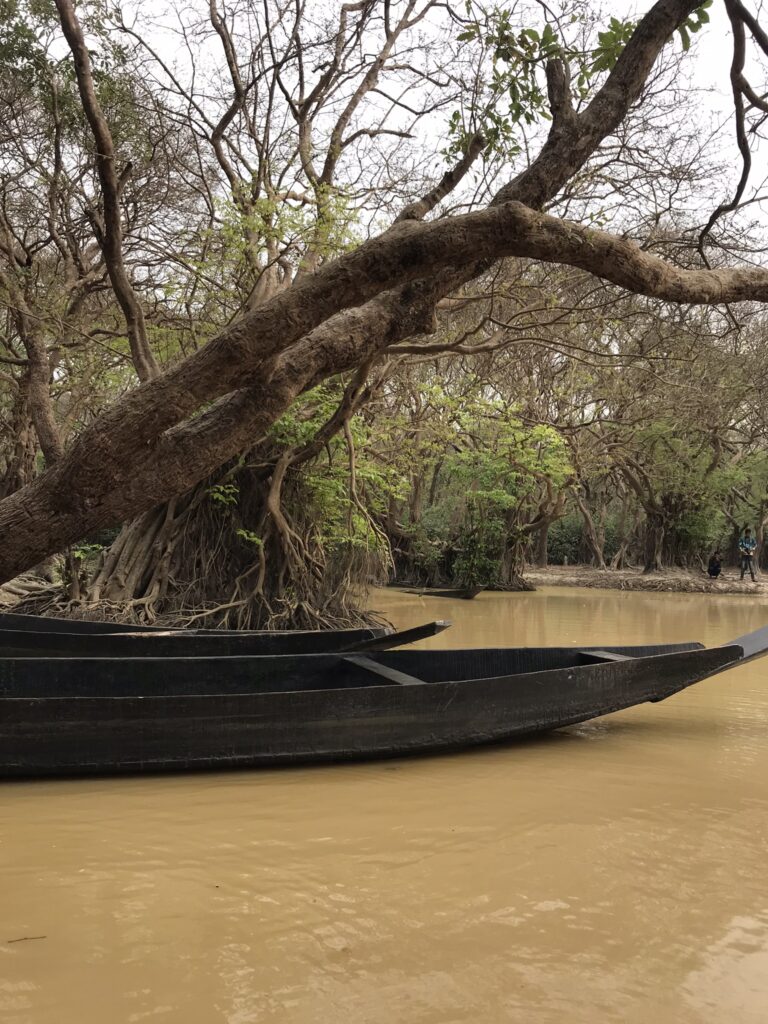 Boats in Ratargul Swamp Forest