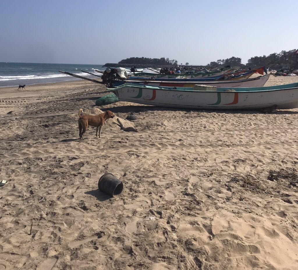 Fishing boats in Mahabalipuram