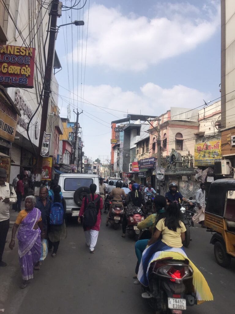 Tamil Nadu travel in thanjavur