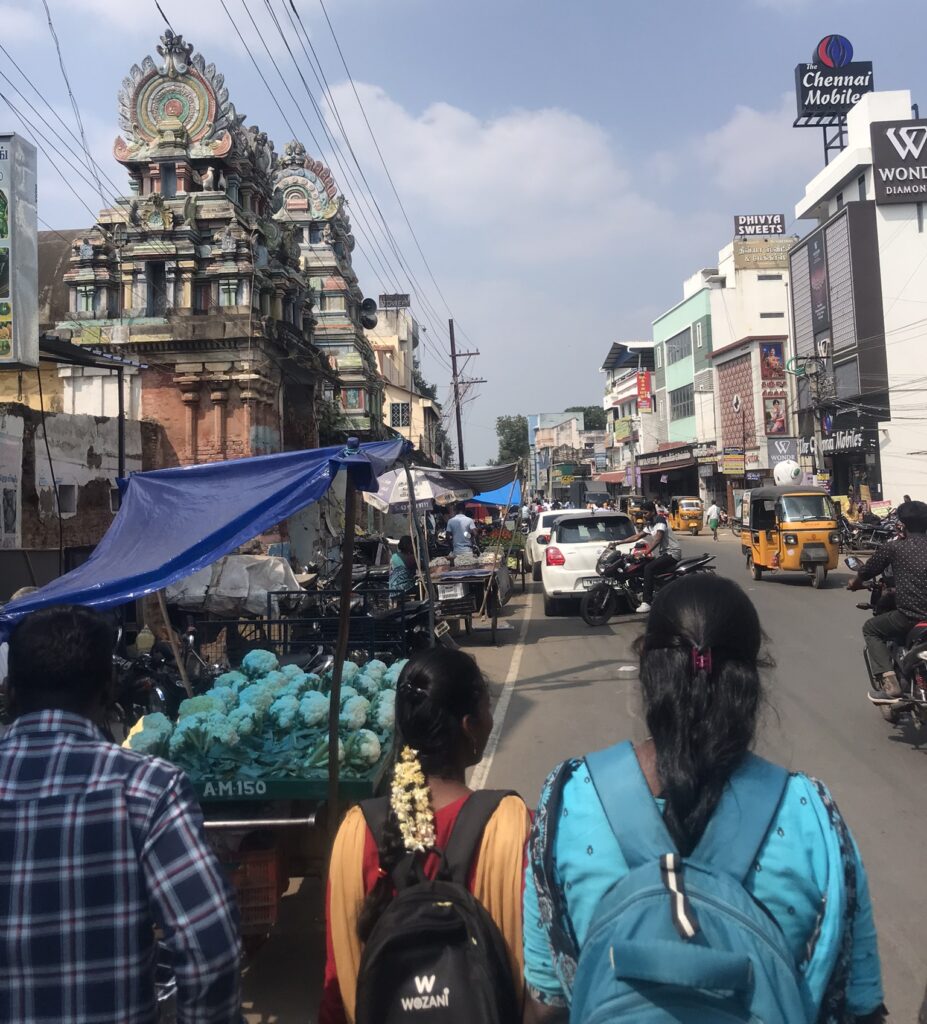 Tamil Nadu travel in Thanjavur