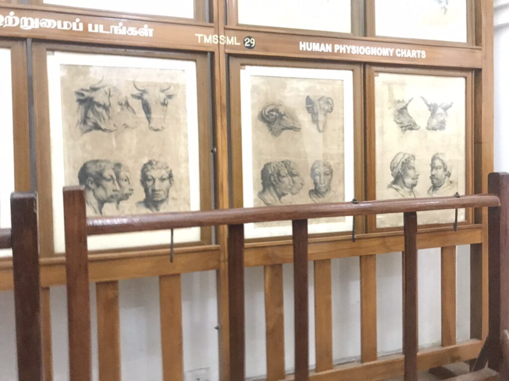 Charts at the Saraswathi Mahal library in Thanjavur