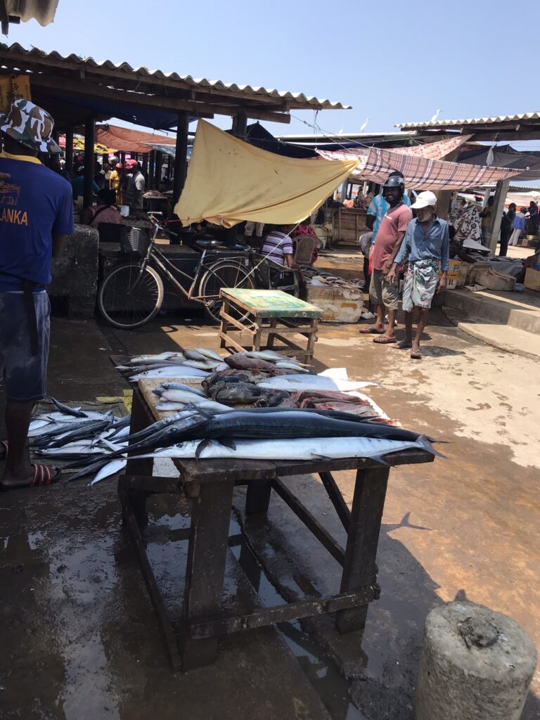 The fish market in Negombo