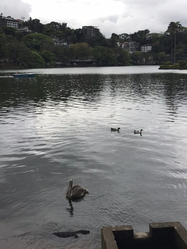 Kandy Lake in Sri Lanka