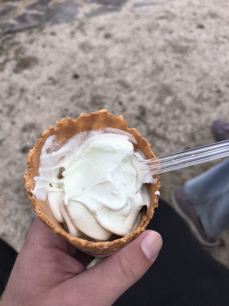 Wasabi ice cream in Iwakuni
