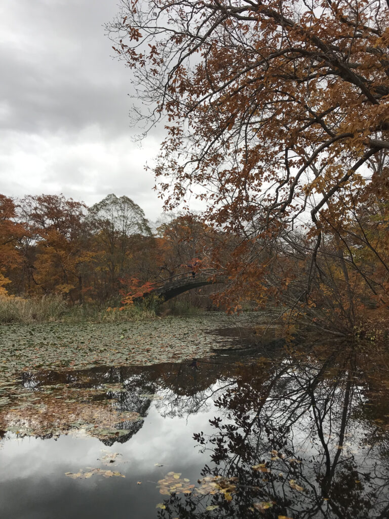 Hokkaido travel in Onuma Quasi-national park