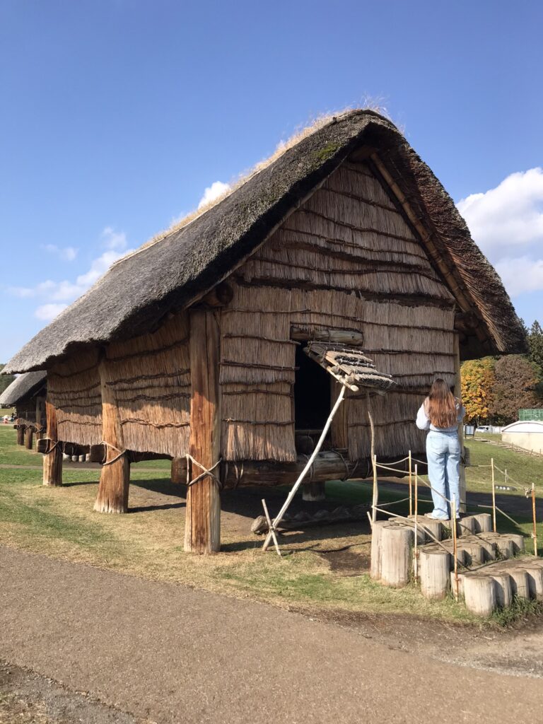 Tohoku travel in Aomori
