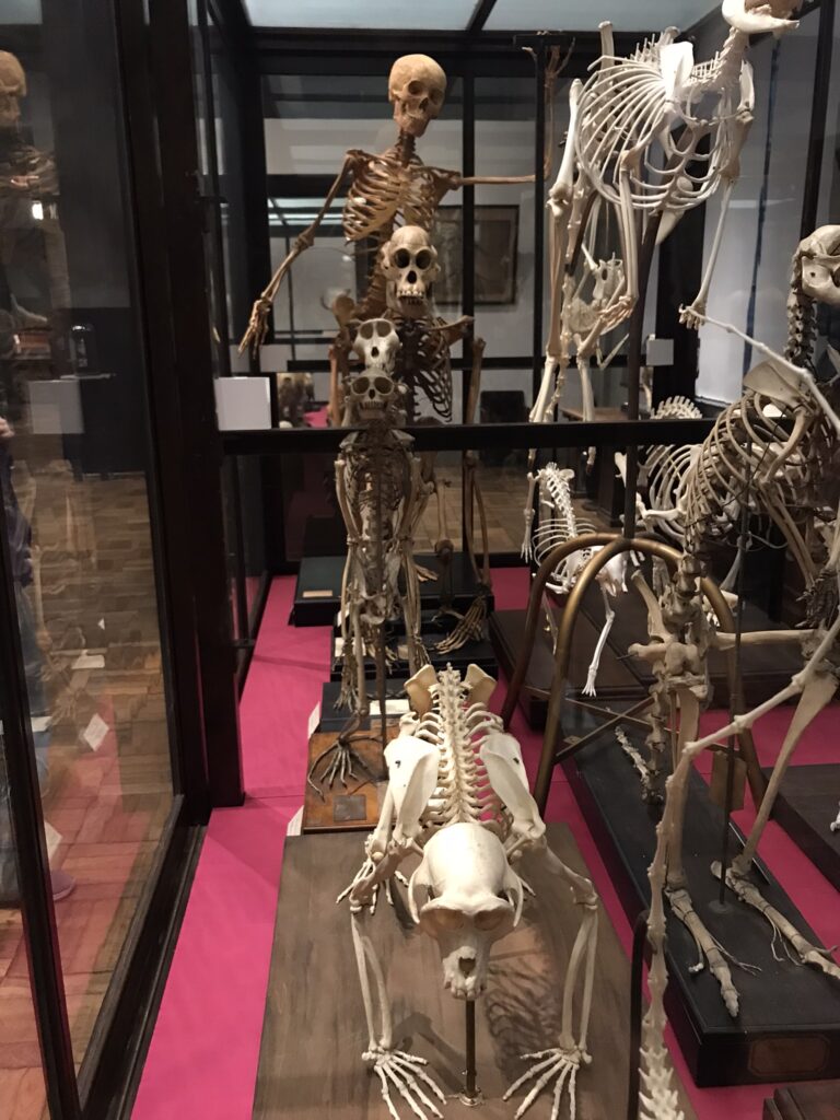 The Intermediatheque in Tokyo