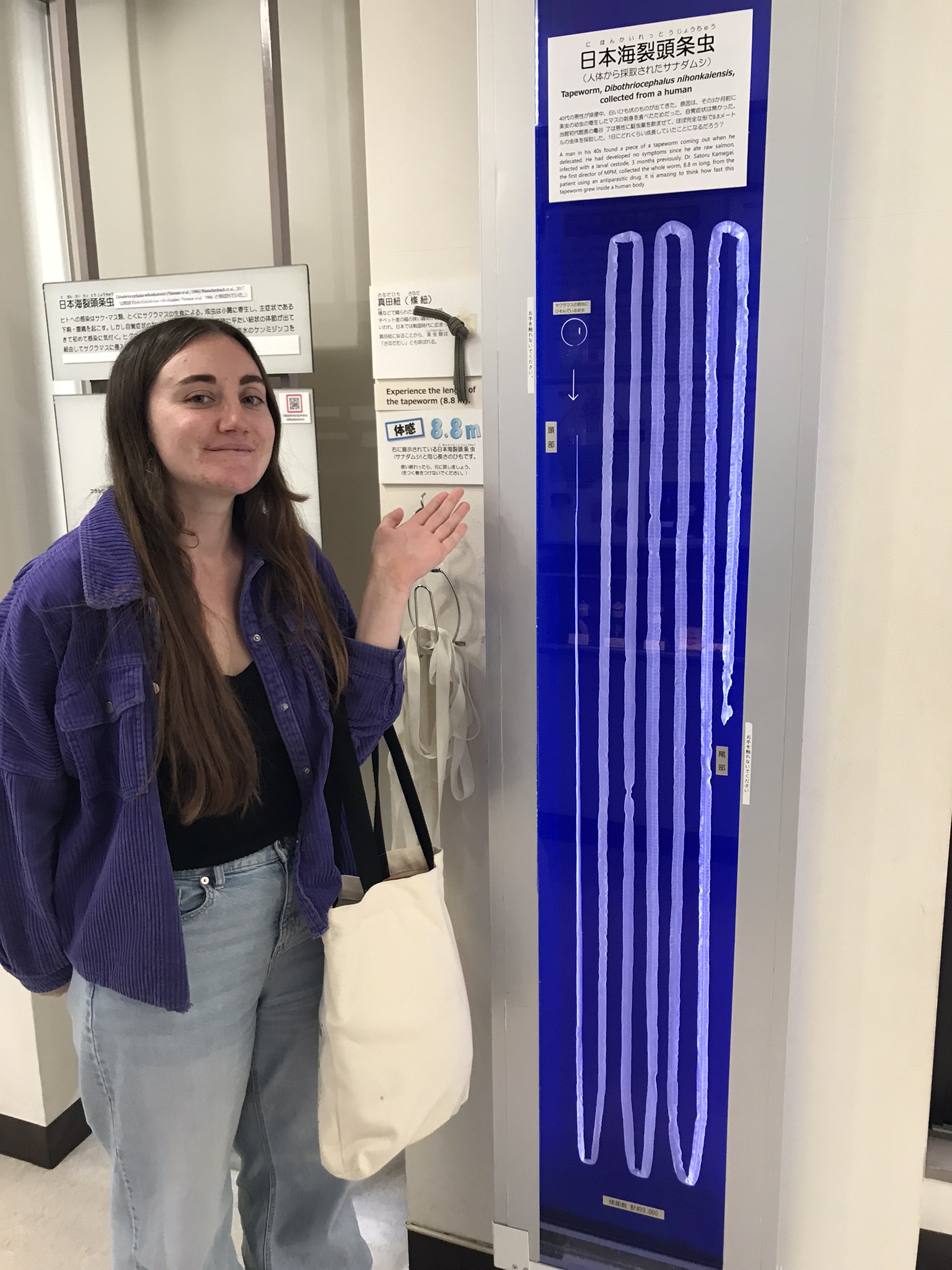 A large tapeworm at Meguro Parasitological Museum