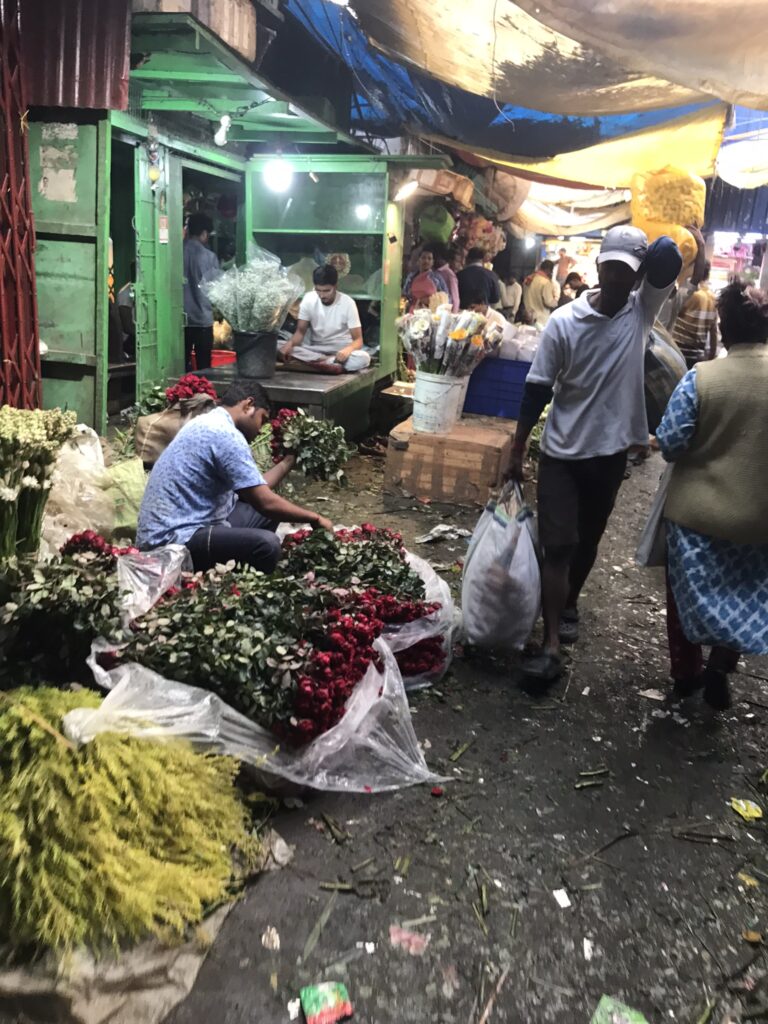 India travel in Kolkata