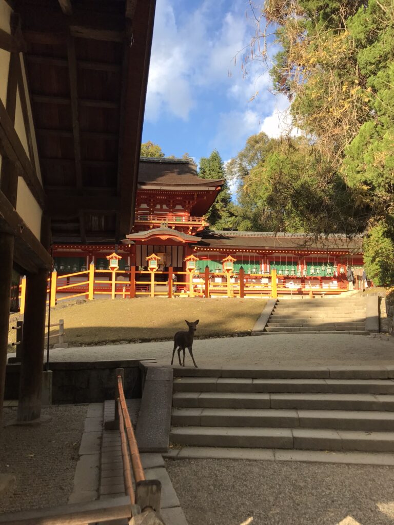 Kasugataisha Shrine in Nara