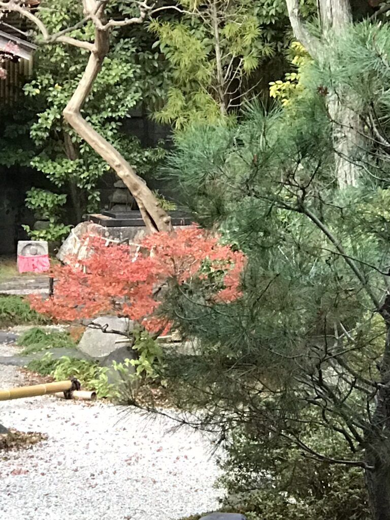 A well known as the gateway to hell at Rokudo Chinno-ji