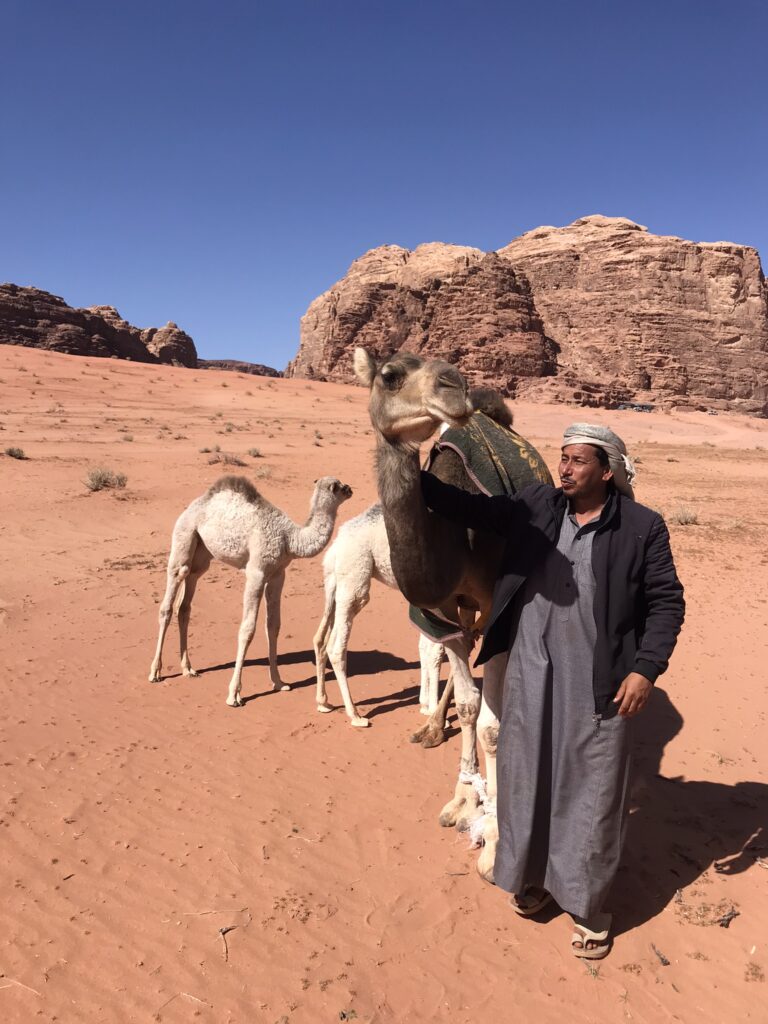 A Bedouin with camels in Wadi Rum