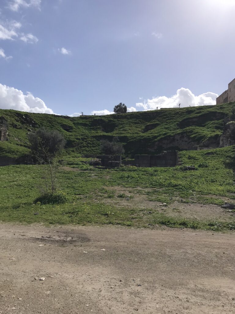 An overgrown roman theatre at Umm Qais