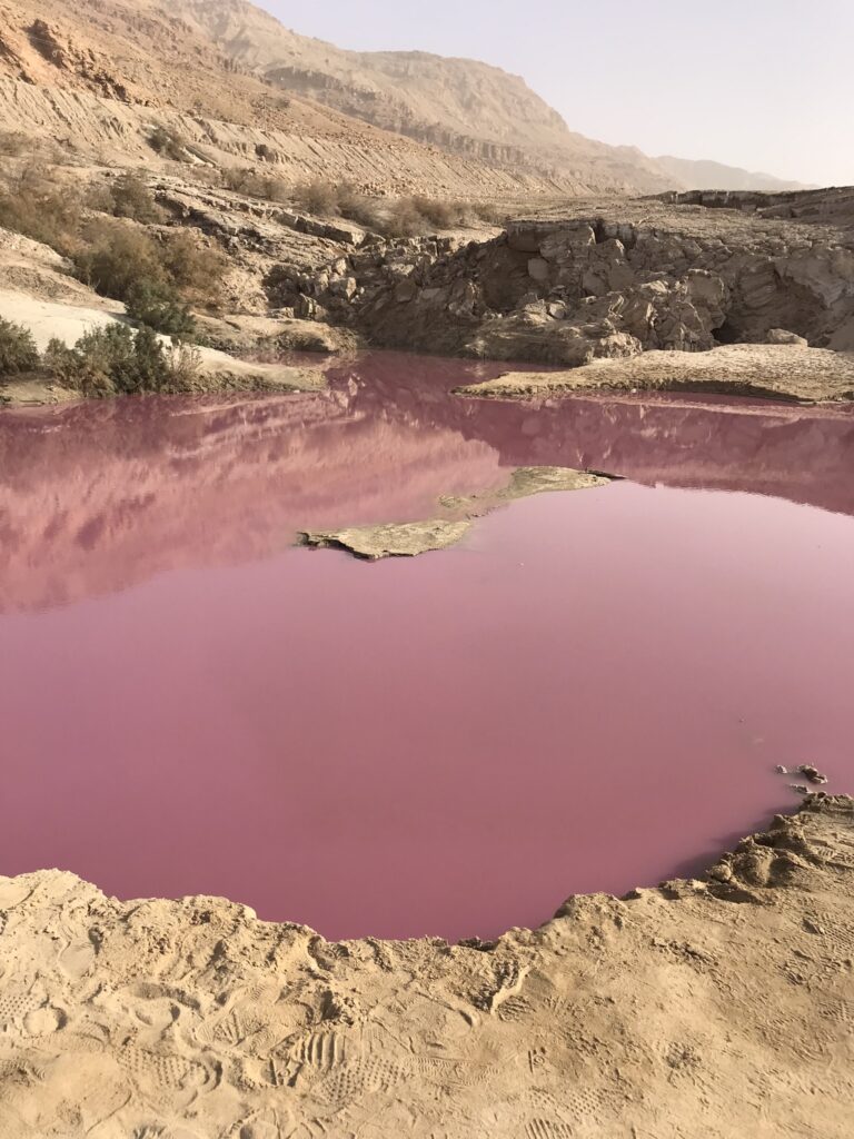 The Pink Lake near the Dead Sea in Jordan