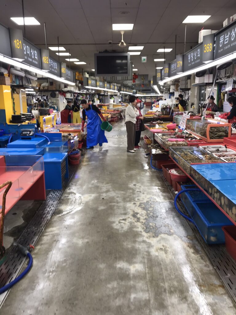 Jagalchi fish market in Busan