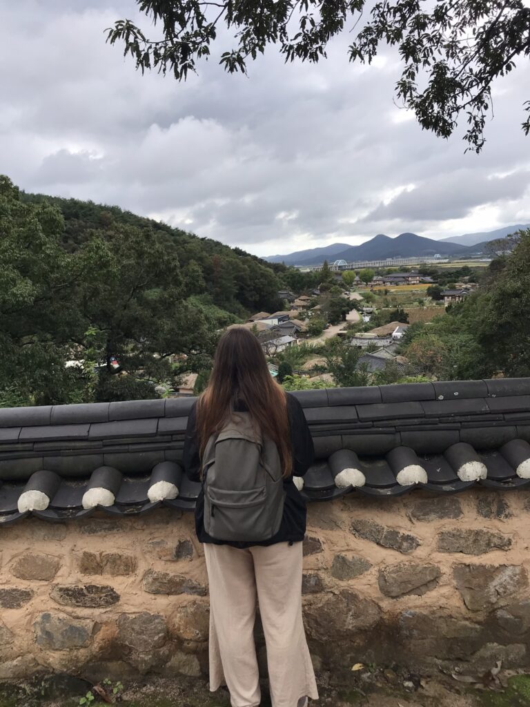South Korea travel at Yangdong Village