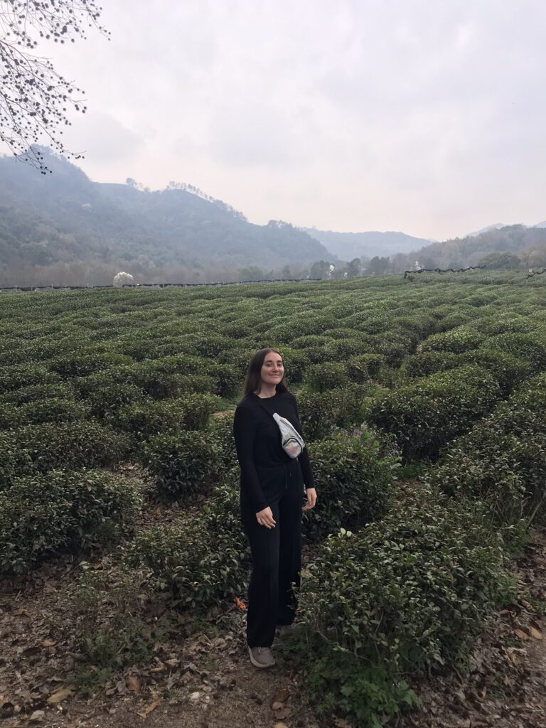 Tea plantations near Hangzhou