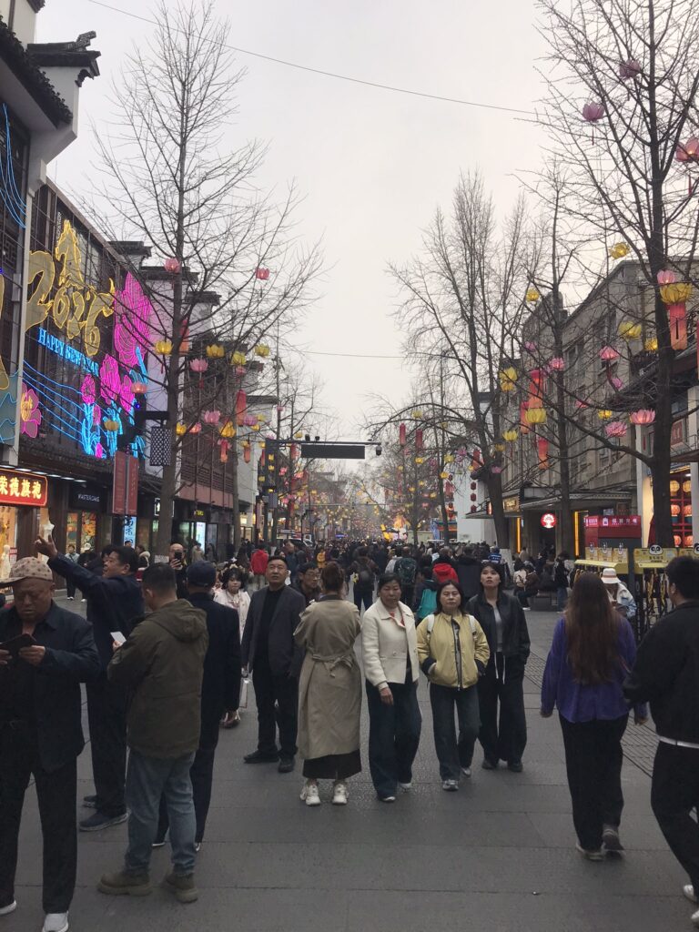 A busy street in Nanjing